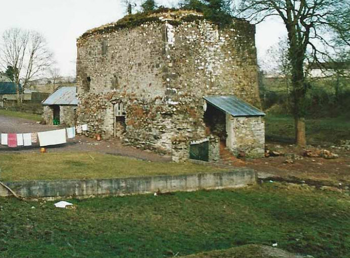 Cranagh Castle, Republic of Ireland, Ireland
